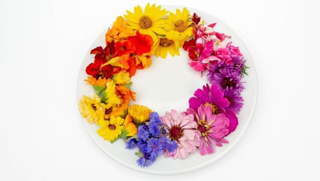 Microgreens + Edible Flowers — GRAZE